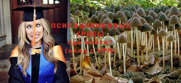 соль ск Михайлов